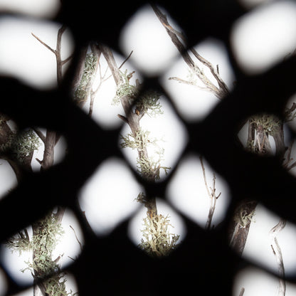 Filigree Leather Eye Patch • See-Through • Made To Order - Astral Chrysalis Designs